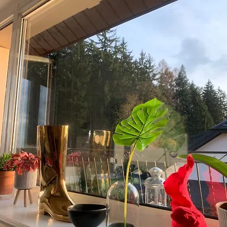 Lesny - Lesna 30 Kudowa-Zdrój