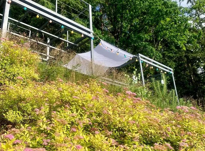 Homestay Lesny - Lesna 30 Kudowa Zdroj