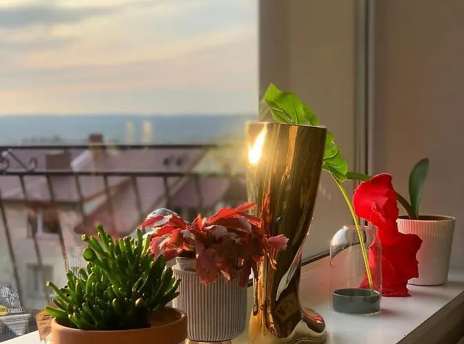 Lesny - Lesna 30 Kudowa Zdroj